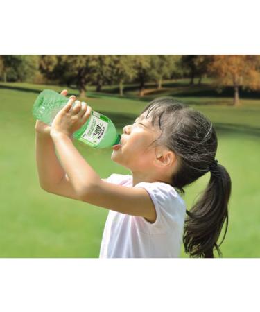 Ice River Green Bottle Natural Spring Water 24 X 500ML Case - Buy Online on GoSupps.com