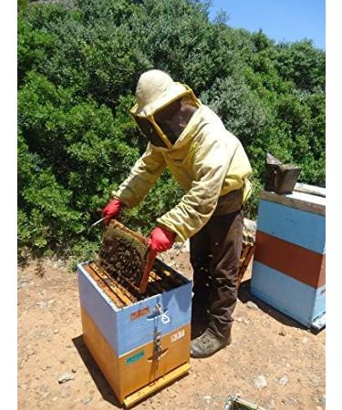 The Greek Kitchen Orange Blossom Honey Unheated & Unpasteurised 250 g - Buy Online on GoSupps.com