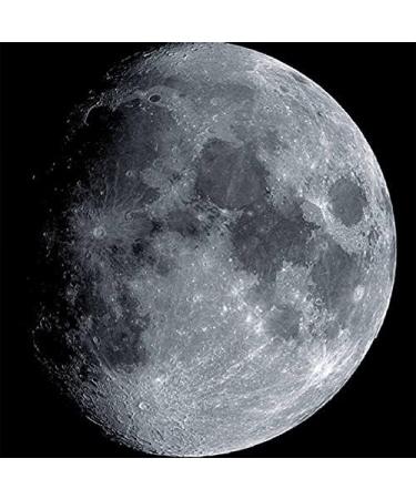 114mm Main Mirror with 25mm Secondary Mirror for DIY Astronomical Telescope Kit - Buy Online on GoSupps.com