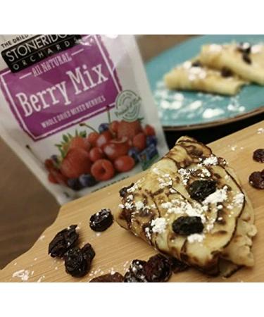 Stoneridge Orchards Berry Mix - Whole Dried Mixed Berries 5 oz (142 g) | Buy Online - Buy Online on GoSupps.com