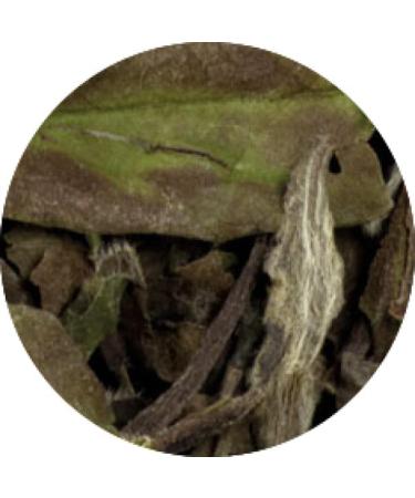  Lerbs & Hagedorn Sencha Green Tea Blend Nectar(ine)/Peach Nectar.-Peach Note Peach 1 kg - Buy Online on GoSupps.com