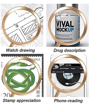 Magnifying Glass 5X Magnifier with Metal Handle High Clarity Loupe for Reading Books Inspection Magnifier Handheld Magnifying Glass Magnifier - Buy Online on GoSupps.com