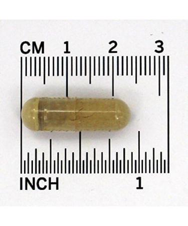 Now Foods Olive Leaf Extract 500 mg 120 VCaps ( Multi-Pack) - Buy Online on GoSupps.com