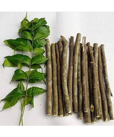 PasumAI Organic Ayurvedic Natural Organic Neem Datun Toothbrush Neem Treechew Sticks For Brushing -20 Pieces 6 Inch
