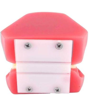 Dental Teeth Model - Orthodontic Study Tool with Metal & Ceramic for Demonstration - Buy Online on GoSupps.com