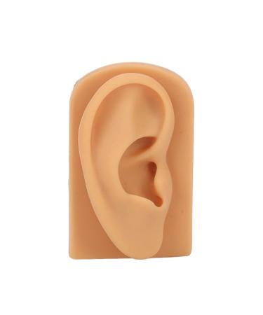 Soft Silicone Ear Model Flexible Ear Mold for Piercing Practice Rubber Ear for Jewelry Display