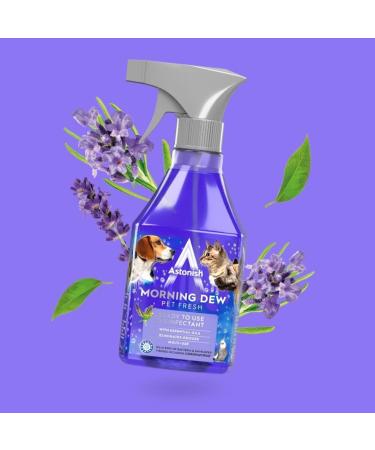 Astonish Morning Dew Disinfectant Spray 550ml - Ready to Use | Pack of 1 - Buy Online on GoSupps.com