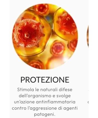  DIBOSSCO Liquid silicon. Colloidal silicon for immediate and lasting effect. Natural anti-aging for smooth skin. Fights the appearance of wrinkles. Each bottle contains 500 ml - 350 ppm. - Buy Online on GoSupps.com