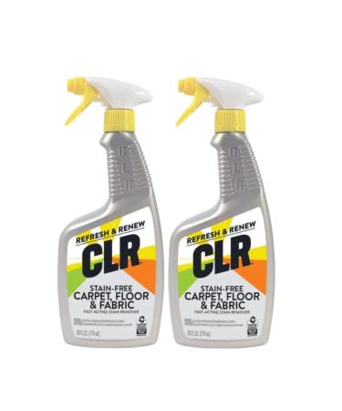 Stain & Spot Remover for Carpet Floor & Fabric 26-oz.