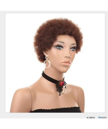 Buy BGHJUE African Wig - Short Roll Synthetic Lace Front Wigs for Black Women | Heat Resistant Soft Hair - International Shipping Available - Buy Online on GoSupps.com