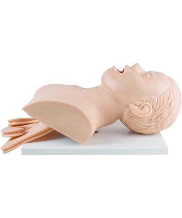 Adult Intubation Manikin - Oral Nasal Airway Management Simulator | Nursing Education Trainer with Removable Conversion Kit - Buy Online on GoSupps.com