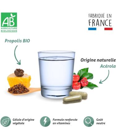 BLANCHE BRESSON - Organic Propolis - Energy & Immunity - Organic Acerola - Natural Vitamin C - Fights Fatigue & Season Change Vitality - 60 Capsules - 30 Day Treatment - Made in France - Buy Online on GoSupps.com