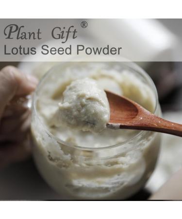 100% Natural Pure Lotus Seed Powder 100g/3.52oz poudre de lotus pour la cuisson et les boissons | sans conservateur lyophilis sans sucre ajout  - Buy Online on GoSupps.com