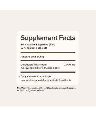 Cordyceps Mushroom Capsules by Bloomable I Energy and Endurance (120 Capsules) - Buy Online on GoSupps.com