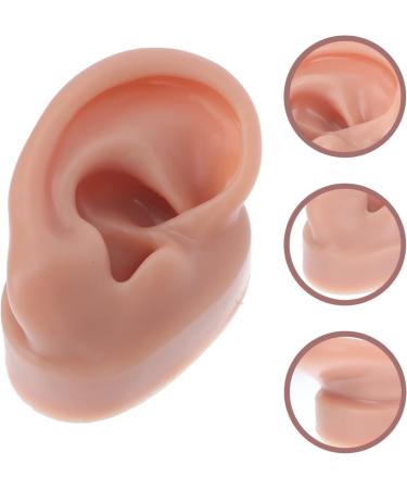 Buy Minkissy Silicone Human Right Ear Model | Fake Ear for Piercing & Acupuncture Simulation | 6.5x3.5 cm - Ideal for Body Part Ads - Buy Online on GoSupps.com