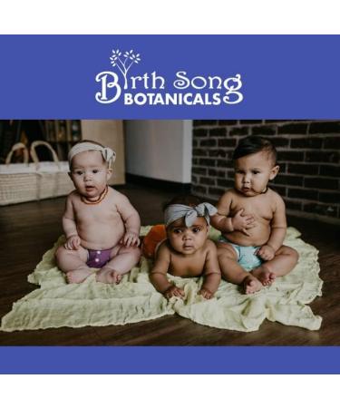 Birth Song Botanicals Children's Organic Daily Immune Herbal Tincture, Herbal Astragalus Supplement, 1oz Bottle - Buy Online on GoSupps.com