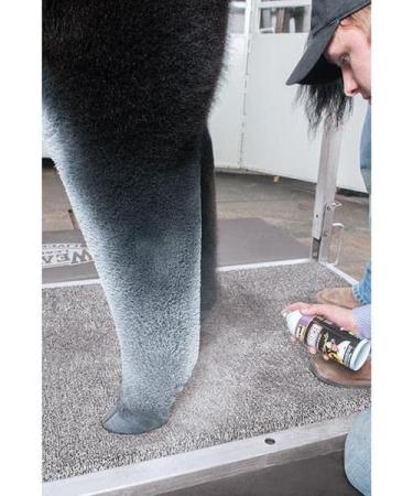 Weaver Leather Pro Enhancer - Enhance Your Horse's Performance - Buy Online on GoSupps.com