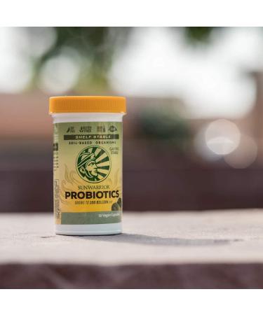 Sunwarrior Probiotics | 30 Vegan Capsules for Gut Health | Plant-Based Supplement - Buy Online on GoSupps.com