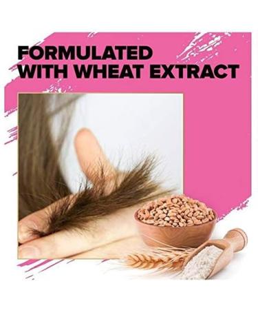 Toni & Guy Shampooing et Apr s-shampoing pour Cheveux Fins Duo Paquet (2 X Shampooing 2 X Apr s-shampoing) - Buy Online on GoSupps.com