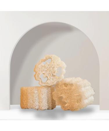 Buy Natural Handmade Aloe Vera Soap Bar with Pumpkin Fiber - 120g | Nourishing Anti-Aging Oil Balance Vitamins C & E | Treat Dryness Blackheads & Acne - International Shipping Available - Buy Online on GoSupps.com