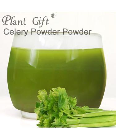100% Natural Pure Celery Powder 100g/3.52oz poudre de jus de c leri pour smoothies shakes p tisseries et boissons th | poudre de jus Vert poudre verte sans conservateur - Buy Online on GoSupps.com