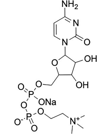 DENTAL TEACHER CITICOLINE 250 mg CDP choline high dose & vegan 60 capsules without additives made in the EU Shanab Pharma - Buy Online on GoSupps.com