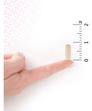 Buy Garden of Life Dr. Formulated Probiotics Mood+ 60 Veg Capsules | Enhance Mood & Gut Health - Buy Online on GoSupps.com