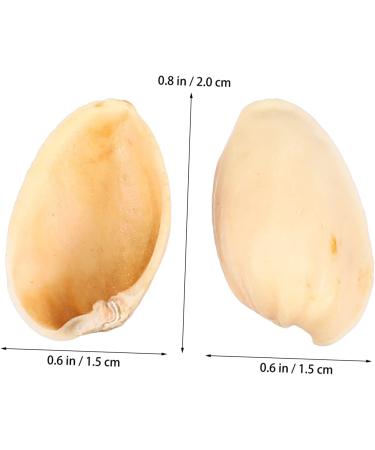 NUOBESTY 1 Pistachio Shell Kids Diy Craft Charms Turkish Diy Craft Accessories Nut Art Supplies Child - Buy Online on GoSupps.com