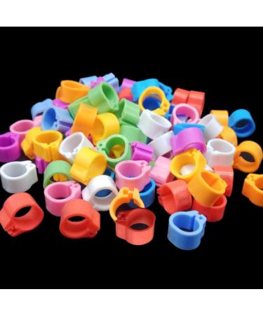Givats Pigeon Footrings for Parrots - 300 Pieces Quail & Poultry Bands | Multi-Color 8mm Clip Leg Rings for Chickens & Pigeons - Buy Online on GoSupps.com