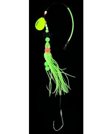 DEGA Norway leader type T. Ahrens Luminous