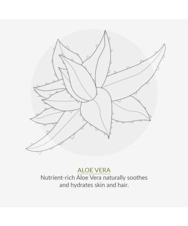 Buy GREEN PEOPLE Aloe Vera Deodorant 75 ML - Natural Eco-Friendly & International Shipping - Buy Online on GoSupps.com