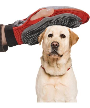 Sundaylike Life Nursing Shoe & Double-Sided Dog Massage Brush for Pets - Red One Size | Perfect for Cats & Dogs - Buy Online on GoSupps.com