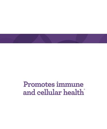 Innate Response C-Complete Powder 2.9 oz | Vitamin C Supplement for Immune Support - Buy Online on GoSupps.com