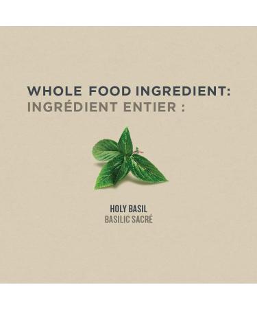 Botanica Holy Basil Liquid Capsules Helps Increase Energy & Reduce Stress Antioxidant Properties Whole Herb Formula Non-GMO Vegan and Gluten Free 60 Capsules (30 Servings) Holy Basil 60 count (Pack of 1) - Buy Online on GoSupps.com