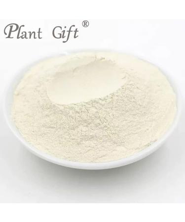Plant Gift 100% Pure Onion Powder 100G/3.25oz Non-GMO Powder No Filler No additives Natural Onion Flour Great Flavor for Drinks Adds Flavor and Taste Baking Ingredients 2UK-PO0084 - Buy Online on GoSupps.com