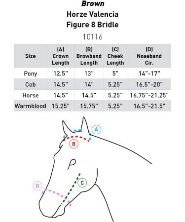 HORZE Emelia Silicone Riding Pants for Women - Black Size 26 (C) - Stylish & Durable Equestrian Pants for International Shipping - Buy Online on GoSupps.com