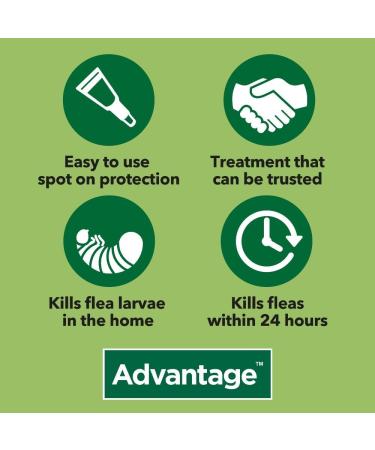 Advantage 250 Flea Spot On Treatment For Dogs 1 Pipette 2.5ml 10-25kg - Buy Online on GoSupps.com