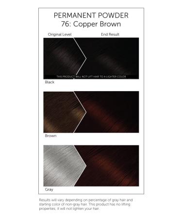 Buy #76 Copper Brown Bigen Permanent Powder - 3 Pack | Long-Lasting Hair Color for International Shipping - Buy Online on GoSupps.com