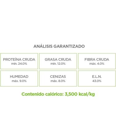 Comida para Perros Adultos Sabor Carne - 5 kg | Env o Internacional | Nutrici n de Calidad - Buy Online on GoSupps.com