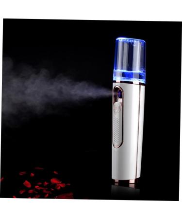 DOITOOL Facial Mist Portable Moisturizing Facial Humidifier Portable Steamer Power Bank Charge Face Sprayer - Buy Online on GoSupps.com