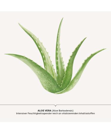  Dr. Scheller APOTHEKER DR. SCHELLER Aloe vera gel 50 ml - Buy Online on GoSupps.com