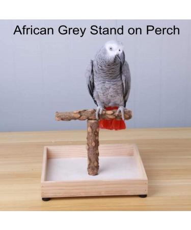 KINTOR Portable Tee Stand for Small Medium Parrots - Parrot Play Stand & Perch Gym - Buy Online on GoSupps.com