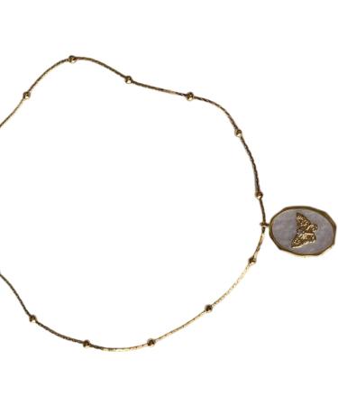 OralGos Elegant Butterfly Pendant Necklace with Photo Album | Delicate Shell Frame Butterfly Jewelry - International Shipping - Buy Online on GoSupps.com