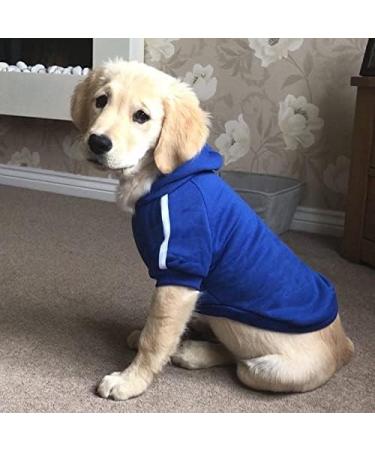 Ducomi Hood Dogs Sweatshirt - 100% Cotton Dog Sweater for All Breeds & Sizes - Warm Monochrome Coat from XS to 9XL (Blue XS) - Buy Online on GoSupps.com