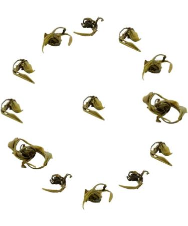  Moontea Jasmine Tea - Loose Jasmine Pearl Tea - Chinese Tea Dragon Pearls Very High Quality - Wellness Infusion (25g) - Buy Online on GoSupps.com