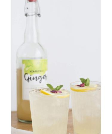 ECOLOGICAL DRINK KOMBUTXA TE KOMBUCHA - 6 bottles 750ml Organic fermented tea ecological energy fat burning without added sug - Buy Online on GoSupps.com