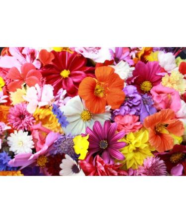 Mix of edible flowers and herbs 06g annual tasty and aromatic mixture