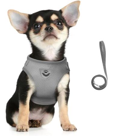 Buy Femax Breakproof Cat & Puppy Dishes with Leash Reflective Mesh Design Perfect for International Shipping - Buy Online on GoSupps.com