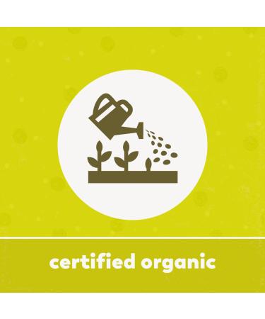 Yupik Organic Brown Rice Flour 2.2 lb - Gluten-Free, Non-GMO, Vegan - Buy Online on GoSupps.com