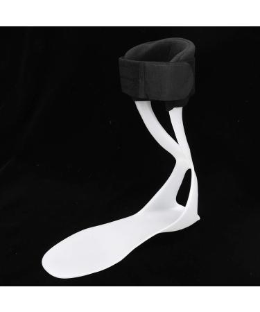 gernie Foot Drop Corrector Splint Brace Fixed Protective Gear Foot Supports (Right L 39-45) Right L 39-45 Right L 39-45